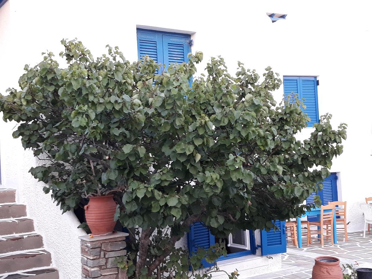Holidays In Paros Aliki  Ngoại thất bức ảnh